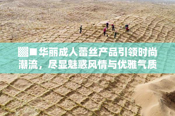 ▓■华丽成人蕾丝产品引领时尚潮流，尽显魅惑风情与优雅气质