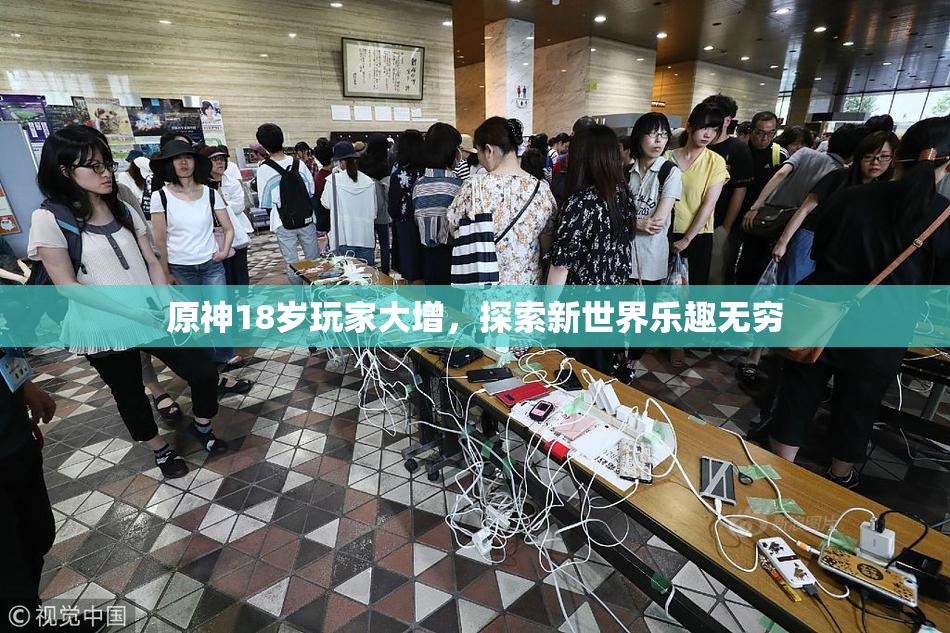 原神18岁玩家大增，探索新世界乐趣无穷