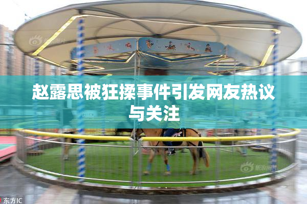 赵露思被狂揉事件引发网友热议与关注