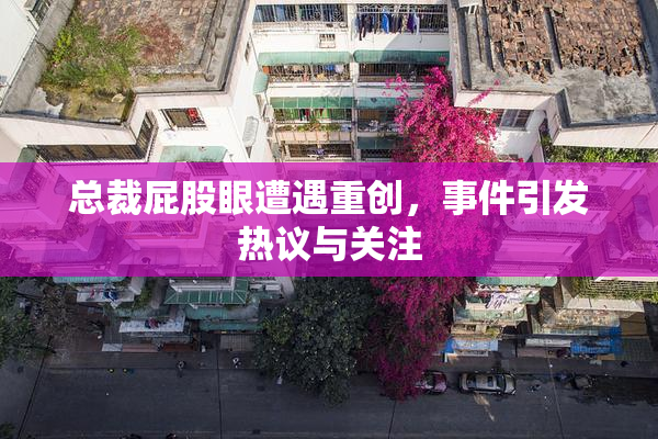 总裁屁股眼遭遇重创，事件引发热议与关注