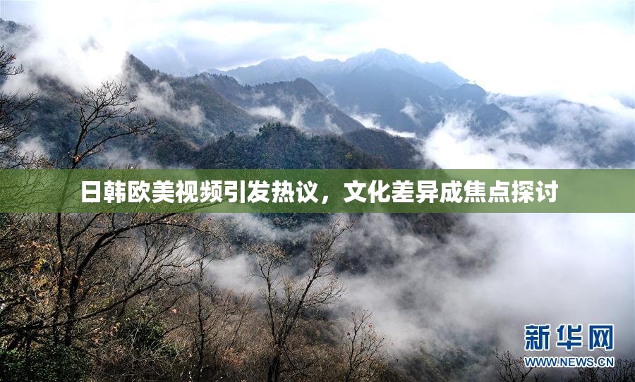 日韩欧美视频引发热议，文化差异成焦点探讨