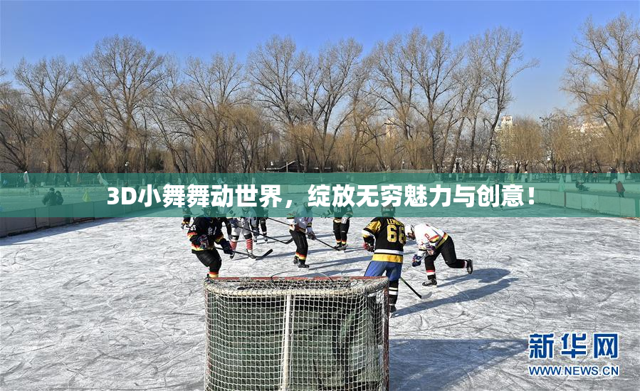 3D小舞舞动世界，绽放无穷魅力与创意！