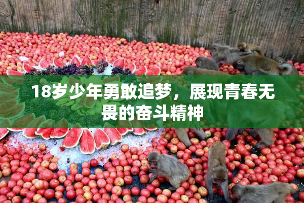 18岁少年勇敢追梦，展现青春无畏的奋斗精神