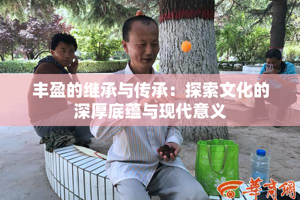 丰盈的继承与传承：探索文化的深厚底蕴与现代意义