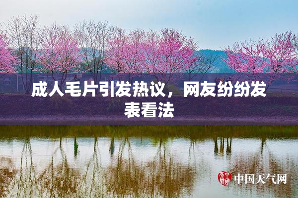 成人毛片引发热议，网友纷纷发表看法