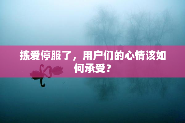 拣爱停服了，用户们的心情该如何承受？