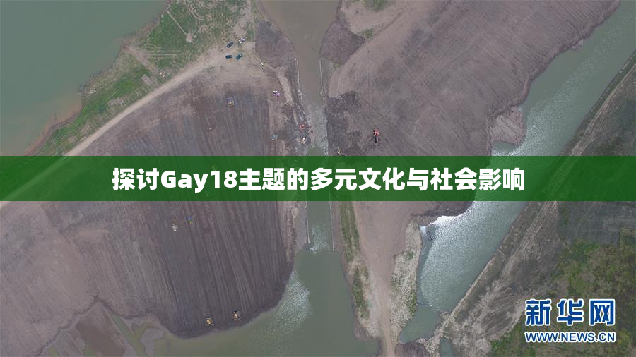 探讨Gay18主题的多元文化与社会影响