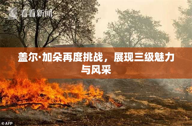 盖尔·加朵再度挑战，展现三级魅力与风采