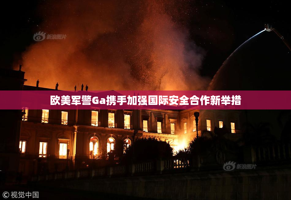欧美军警Ga携手加强国际安全合作新举措