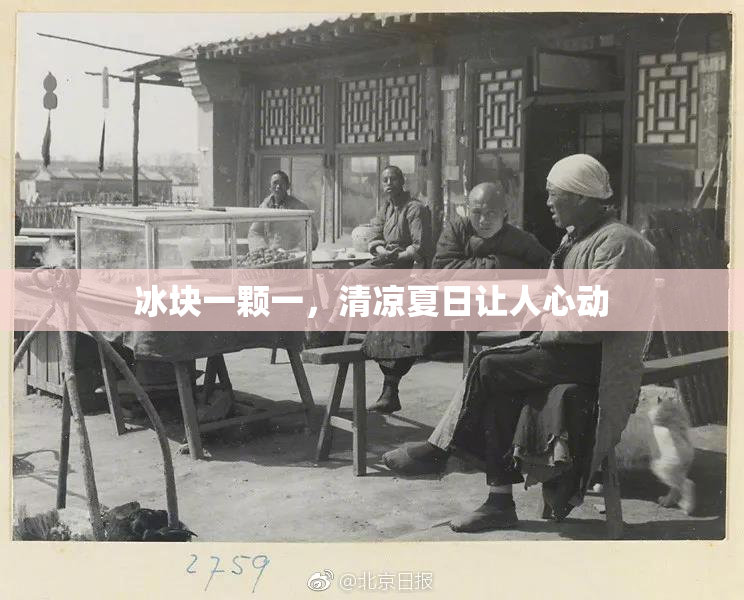 冰块一颗一，清凉夏日让人心动