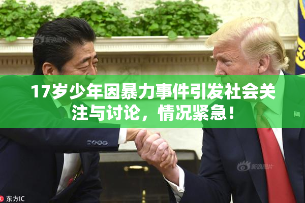 17岁少年因暴力事件引发社会关注与讨论，情况紧急！