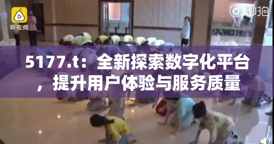 5177.t：全新探索数字化平台，提升用户体验与服务质量