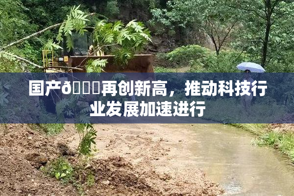 国产🔞再创新高，推动科技行业发展加速进行