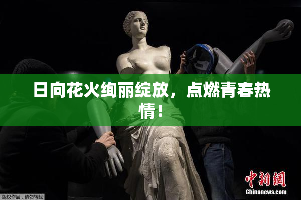 日向花火绚丽绽放，点燃青春热情！
