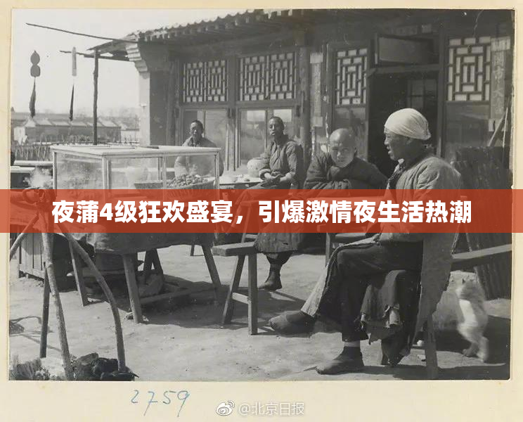 夜蒲4级狂欢盛宴，引爆激情夜生活热潮