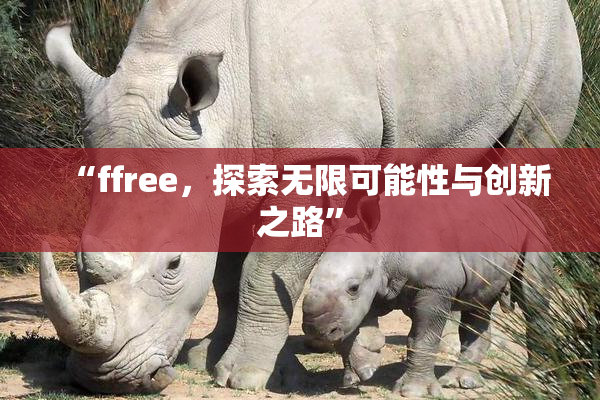 “ffree，探索无限可能性与创新之路”
