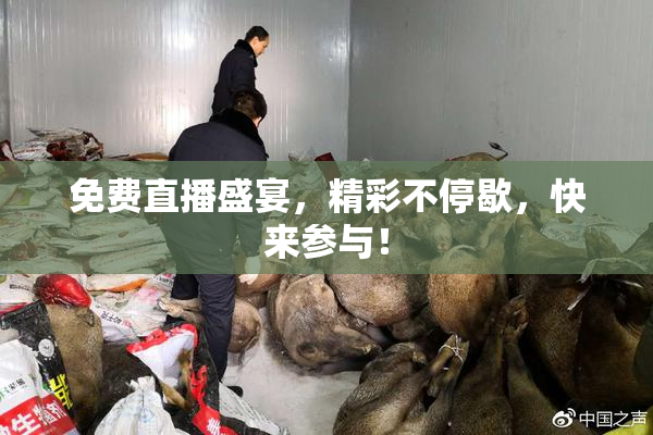 免费直播盛宴，精彩不停歇，快来参与！