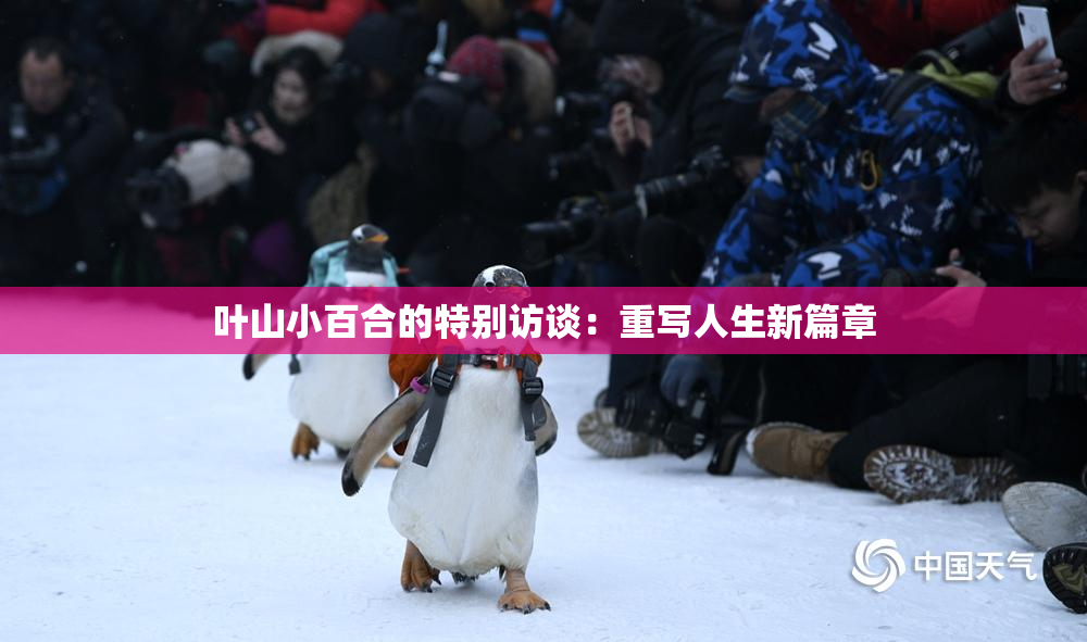 叶山小百合的特别访谈：重写人生新篇章