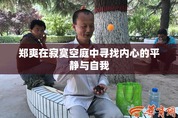 郑爽在寂寞空庭中寻找内心的平静与自我