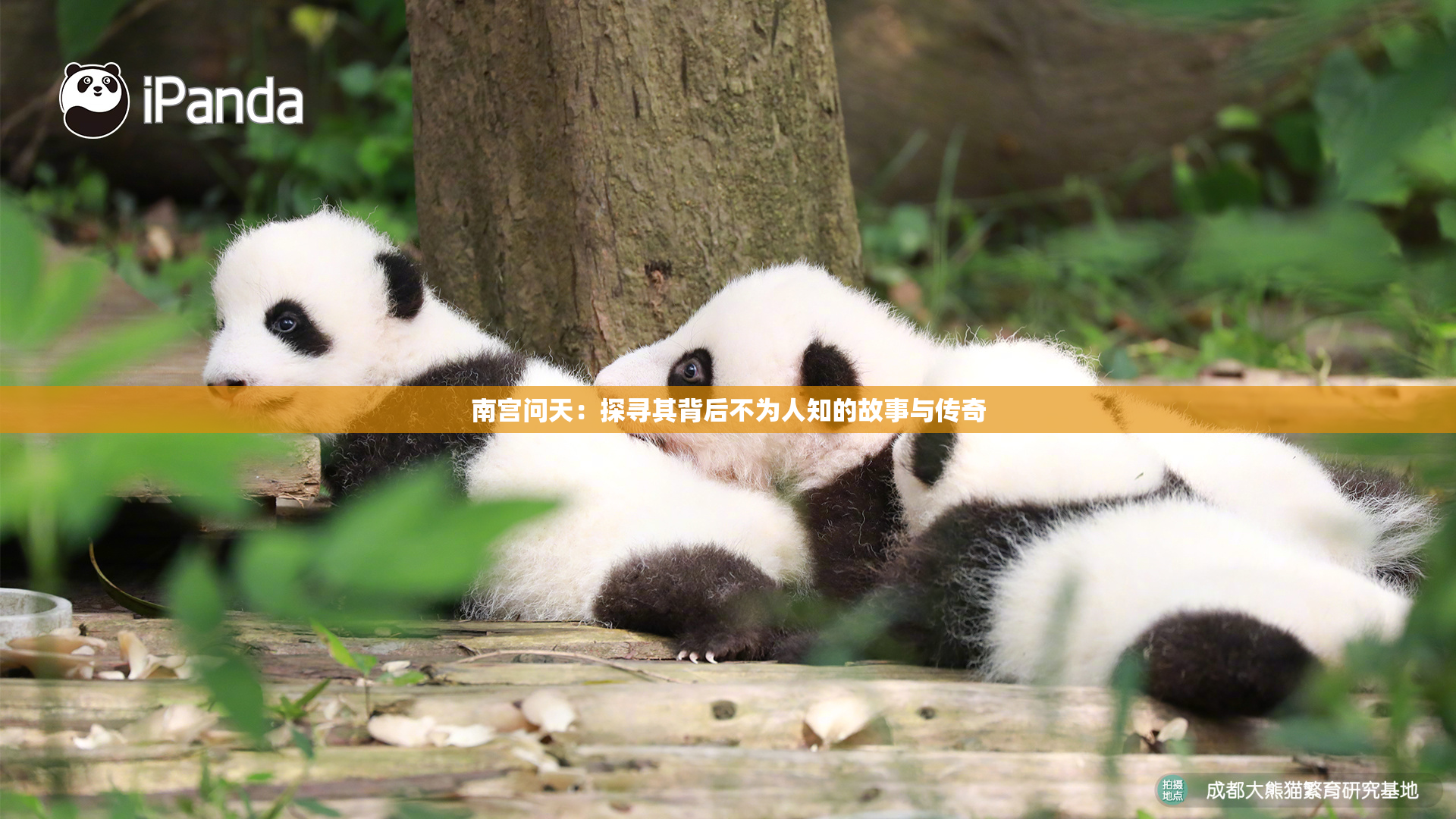 南宫问天：探寻其背后不为人知的故事与传奇