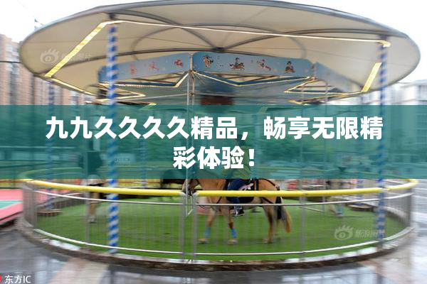 九九久久久久精品，畅享无限精彩体验！