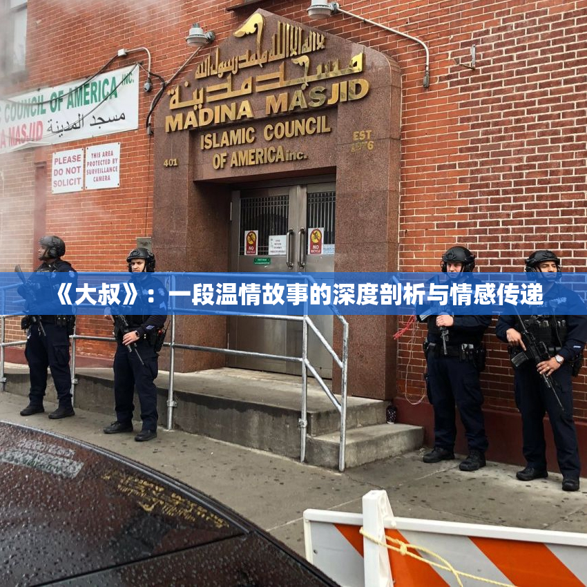 《大叔》：一段温情故事的深度剖析与情感传递