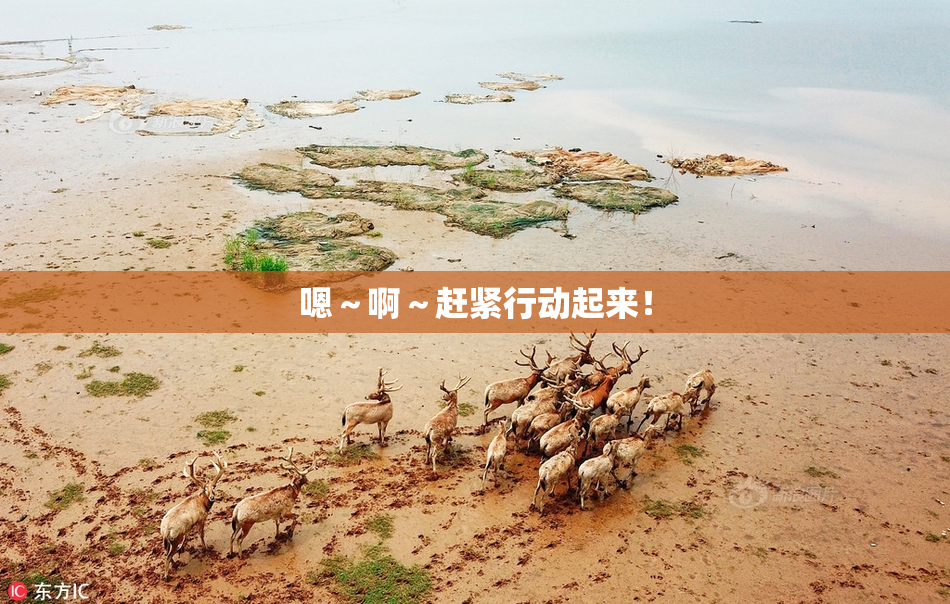 嗯～啊～赶紧行动起来！