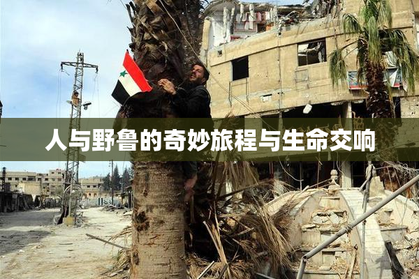 人与野鲁的奇妙旅程与生命交响