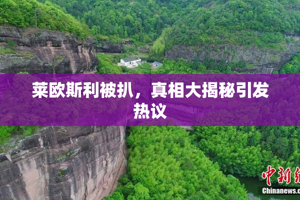 莱欧斯利被扒，真相大揭秘引发热议