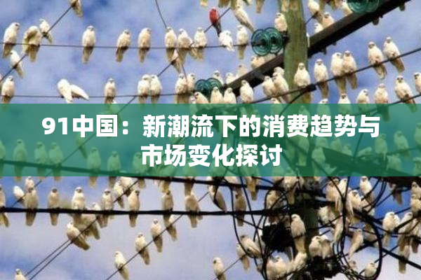 91中国：新潮流下的消费趋势与市场变化探讨