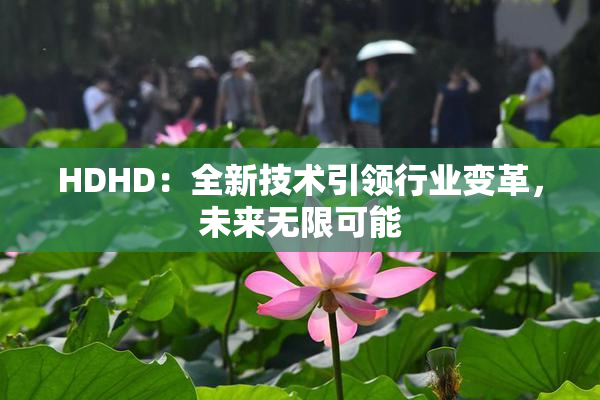 HDHD：全新技术引领行业变革，未来无限可能