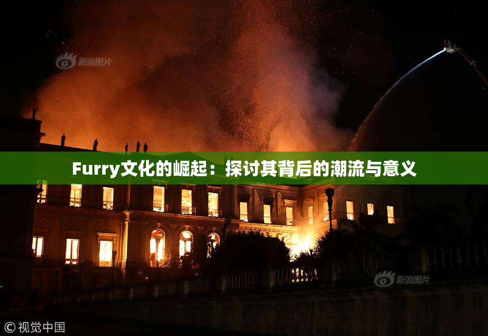 Furry文化的崛起：探讨其背后的潮流与意义