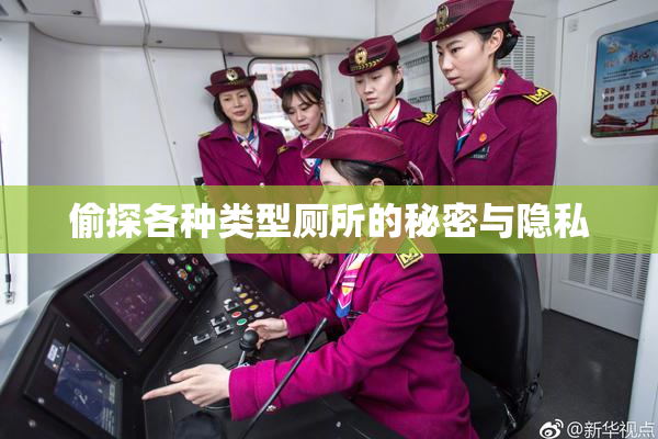 偷探各种类型厕所的秘密与隐私