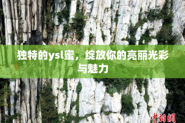 独特的ysl蜜，绽放你的亮丽光彩与魅力