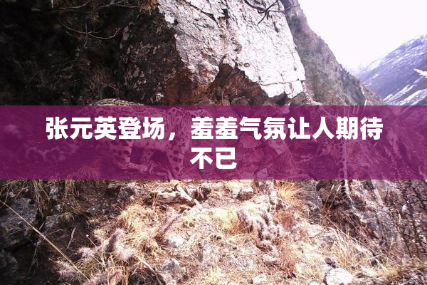 张元英登场，羞羞气氛让人期待不已