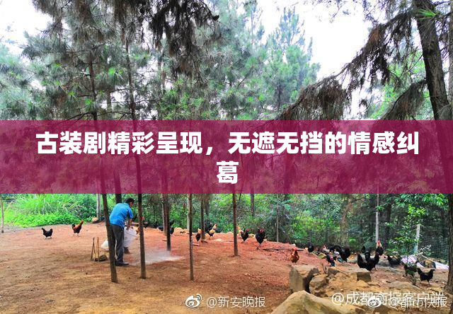 古装剧精彩呈现，无遮无挡的情感纠葛