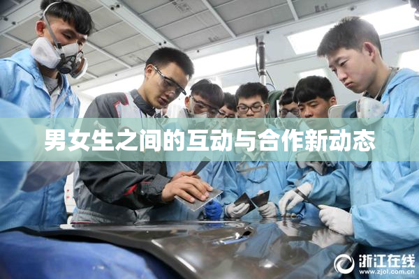 男女生之间的互动与合作新动态