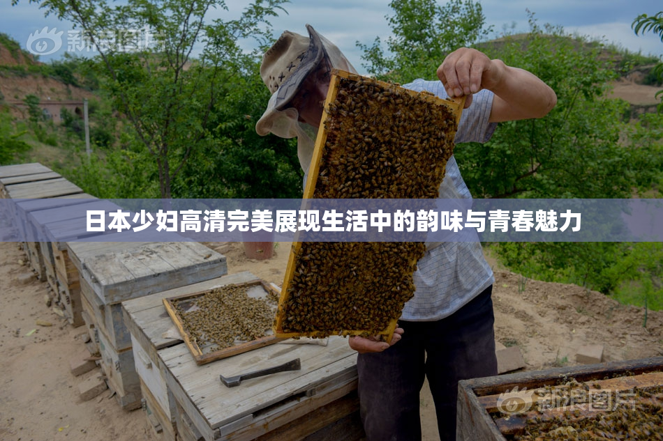 日本少妇高清完美展现生活中的韵味与青春魅力