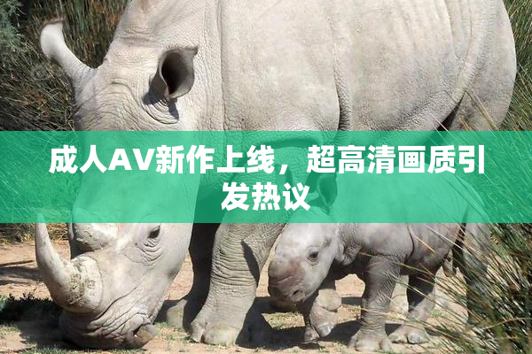 成人AV新作上线，超高清画质引发热议