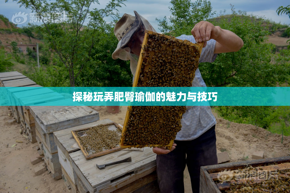 探秘玩弄肥臀瑜伽的魅力与技巧