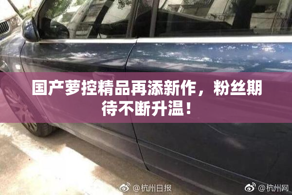 国产萝控精品再添新作，粉丝期待不断升温！
