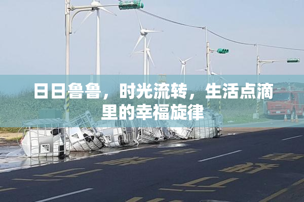日日鲁鲁，时光流转，生活点滴里的幸福旋律