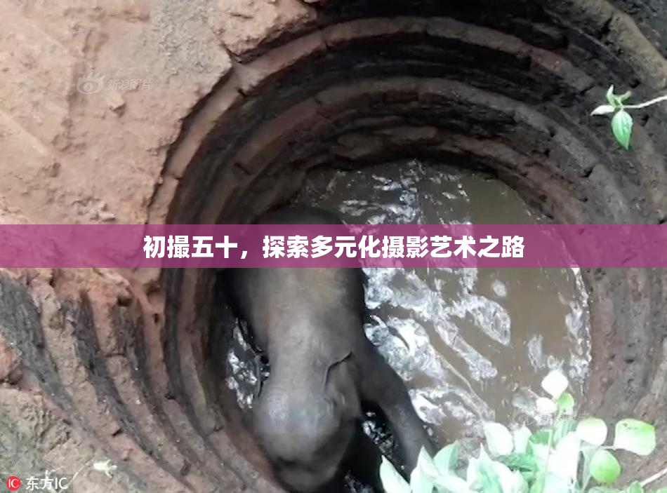 初撮五十，探索多元化摄影艺术之路