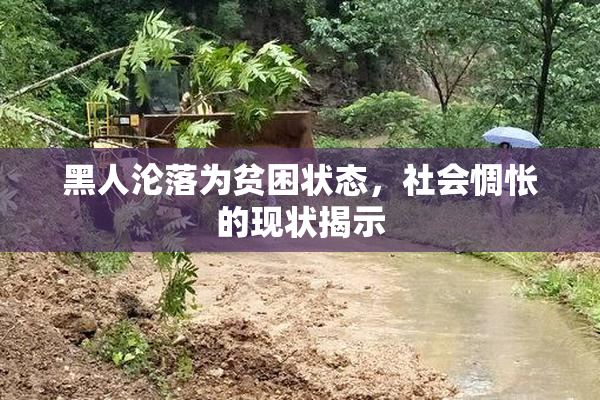 黑人沦落为贫困状态，社会惆怅的现状揭示