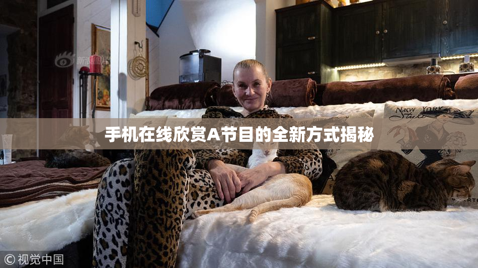 手机在线欣赏A节目的全新方式揭秘