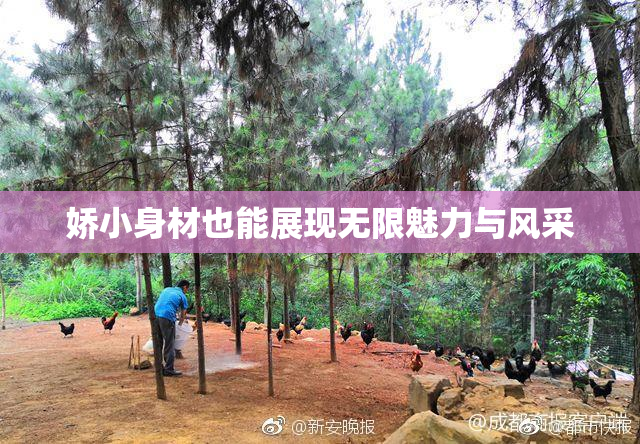娇小身材也能展现无限魅力与风采