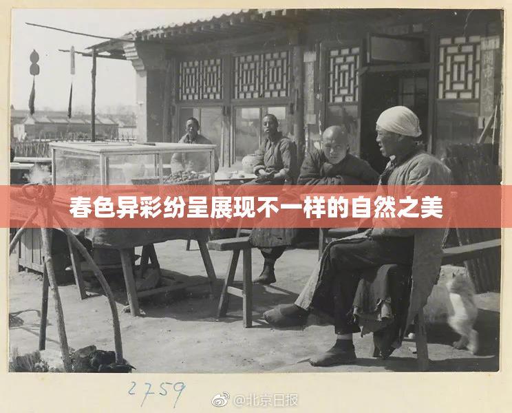 春色异彩纷呈展现不一样的自然之美