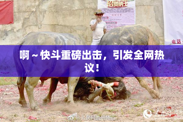 啊～快斗重磅出击，引发全网热议！