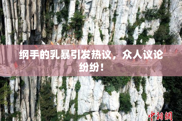纲手的乳暴引发热议，众人议论纷纷！