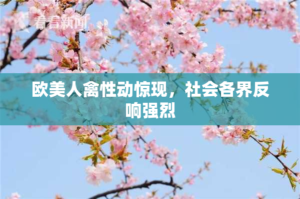 欧美人禽性动惊现，社会各界反响强烈